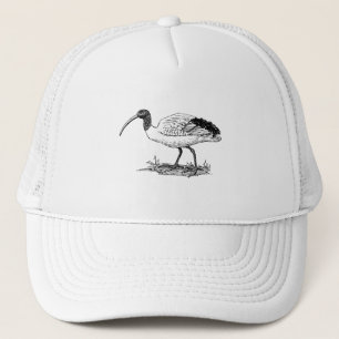 IBIS-Vogel-Kunst Truckerkappe