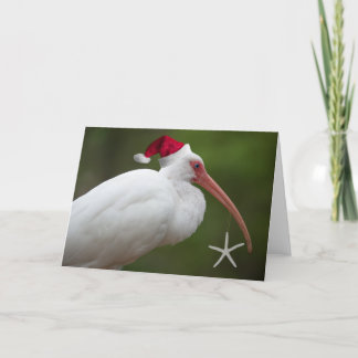 Ibis w/Weihnachtsmannmütze Feiertagskarte