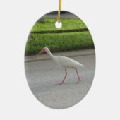 Ibis Walking Ornament (Vorne)