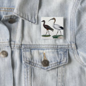 Ibises, "von der Beschreibung de L'Eypte", 1817 Button (Beispiel)