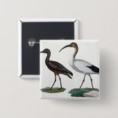 Ibises, "von der Beschreibung de L'Eypte", 1817 Button (Vorne & Hinten)