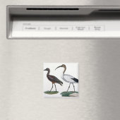 Ibises, von 'Description de l'Eypte', 1817 Magnet (In Situ (Geschirrspüler))