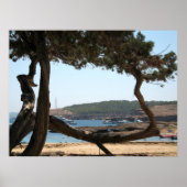 Ibiza Dreams Poster (Vorne)