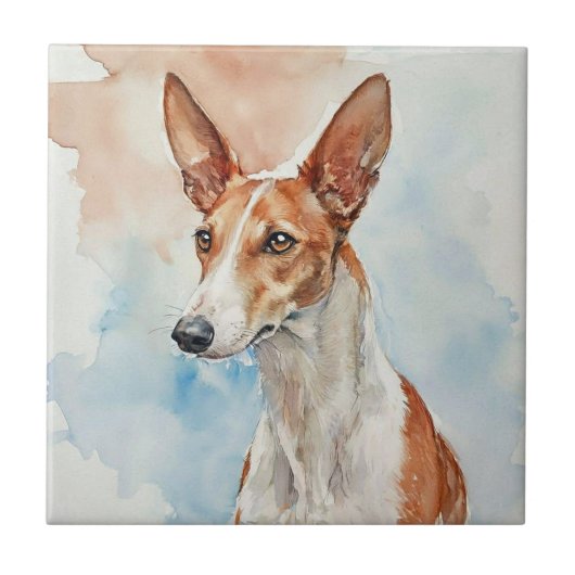 Ibizan Hound Acrylic Photo Tile Fliese (Vorderseite)