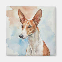 Ibizan Hound Acrylic Photo Tile