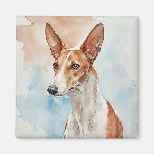 Ibizan Hound Acrylic Photo Tile Magnet (Vorne)