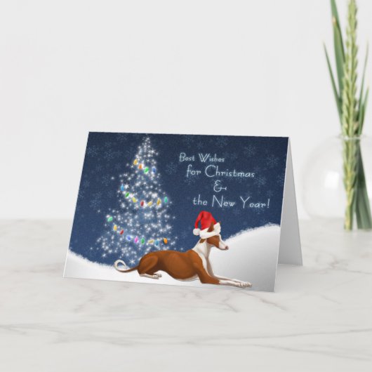 Ibizan Hound Christmas Card Feiertagskarte (Vorderseite)