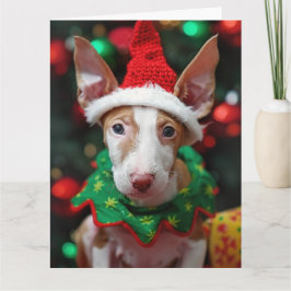 Ibizan Hound Elf Welpe Weihnachtskarte Karte