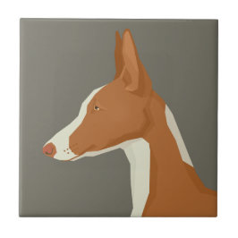 Ibizan Hound Fliese