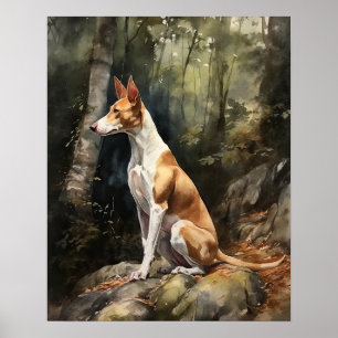 Ibizan Hound Hund Art Print Poster