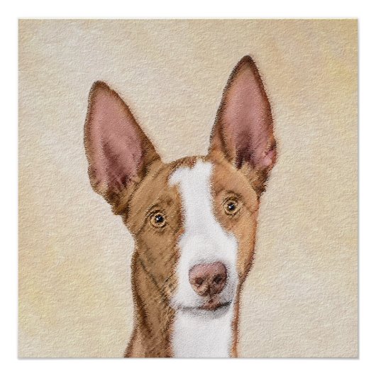 Ibizan Hound Malerei - Niedliche Original Hunde Ku Poster (Vorderseite)