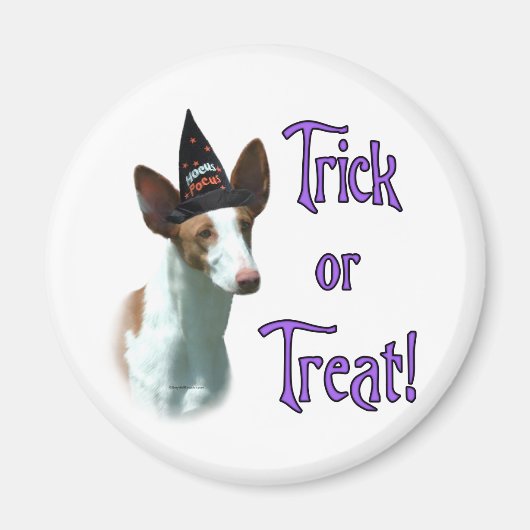 Ibizan Hound Trick Magnet (Vorne)