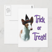 Ibizan Hound Trick Postkarte (Vorne/Hinten)