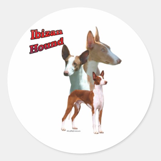 Ibizan Hound Trio 2 - Aufkleber (Vorderseite)