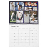 Ibizan Jagdhund-Kalender Kalender (Jan 2027)