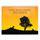 Ibizan Jagdhund-Zentralkalender 2015 Kalender (Titelbild)
