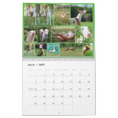 Ibizan Jagdhund-Zentralkalender 2015 Kalender (Mär 2027)