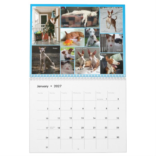 Ibizan Jagdhund-Zentralkalender 2015 Kalender (Jan 2027)