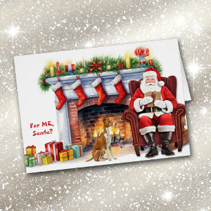 Ibizaner Bracke Weihnachten Weihnachtsgeschenk