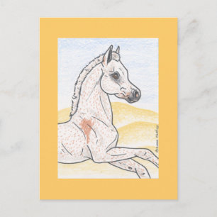 Ibn Shai Hulud Postkarte