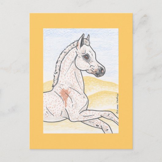 Ibn Shai Hulud Postkarte (Vorderseite)