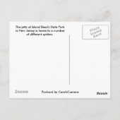 IBSP Jetty Spider Postkarte (Rückseite)