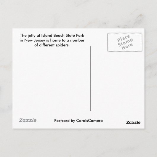 IBSP Jetty Spider Postkarte (Rückseite)