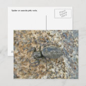 IBSP Jetty Spider Postkarte (Vorne/Hinten)