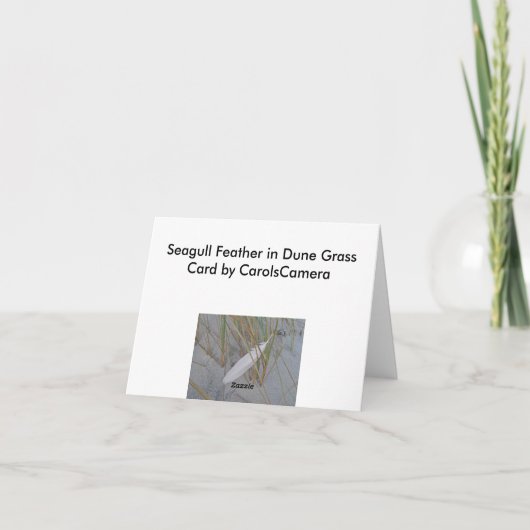 IBSP Seemöwe-Feder in der Karte (Rückseite)