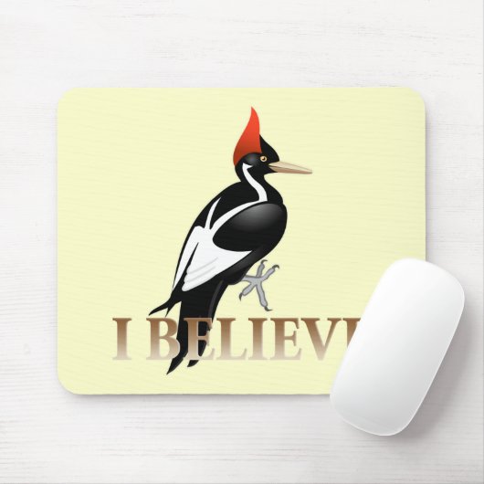 IBWO: Ich glaube Mousepad (Mit Mouse)