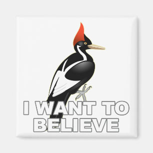 IBWO: Ich will, um zu glauben Magnet