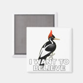 IBWO: Ich Wollte zu glauben Magnet (Vorderseite/Rückseite)