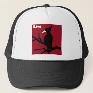 IBWO: iLive Truckerkappe