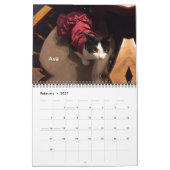 iCat Forever 2019 Kalender (Feb 2027)