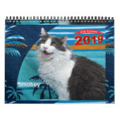 iCat Forever 2019 Kalender (Titelbild)