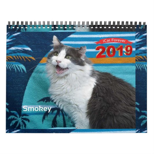 iCat Forever 2019 Kalender (Titelbild)