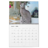 iCat Forever 2019 Kalender (Mär 2026)