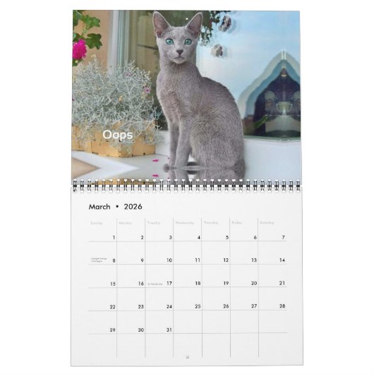 iCat Forever 2019 Kalender (Mär 2026)