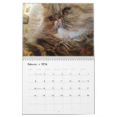 iCat Forever Contest Kalender (Feb 2026)