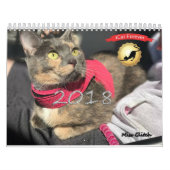 iCat Forever Contest Kalender (Titelbild)