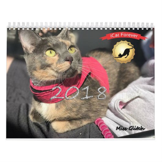 iCat Forever Contest Kalender (Titelbild)