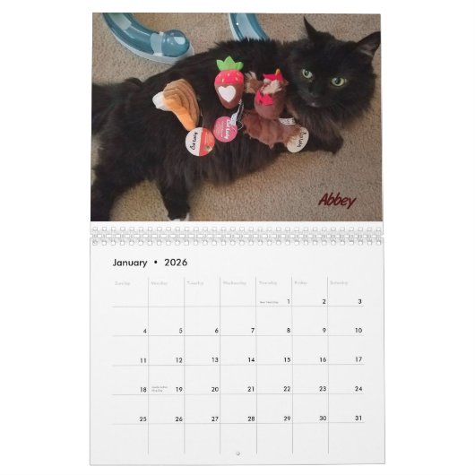 iCat Forever Contest Kalender (Jan 2026)