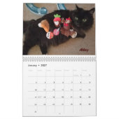 iCat Forever Contest Kalender (Jan 2027)