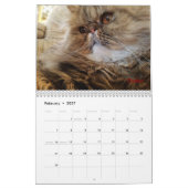 iCat Forever Contest Kalender (Feb 2027)