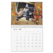 ICatz Forever 2020 Teamkalender Kalender (Jan 2027)