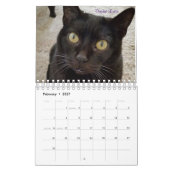 ICatz Forever 2020 Teamkalender Kalender (Feb 2027)