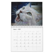 ICatz Forever 2020 Teamkalender Kalender (Mär 2027)