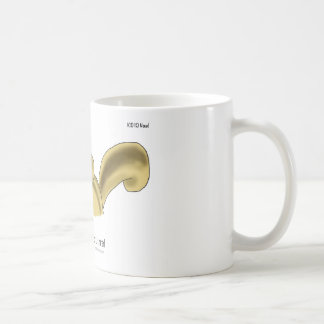 ICD-10: W53.21 gebissen durch Eichhörnchen Kaffeetasse