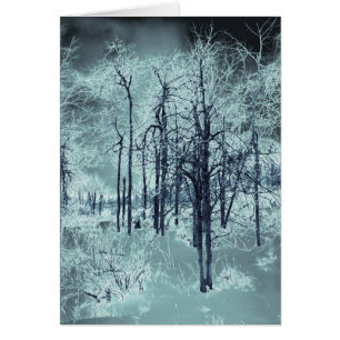 Ice Blue