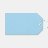 Ice Blue Solid Color | Classic | elegant Geschenkanhänger (Vorderseite (Horizontal))